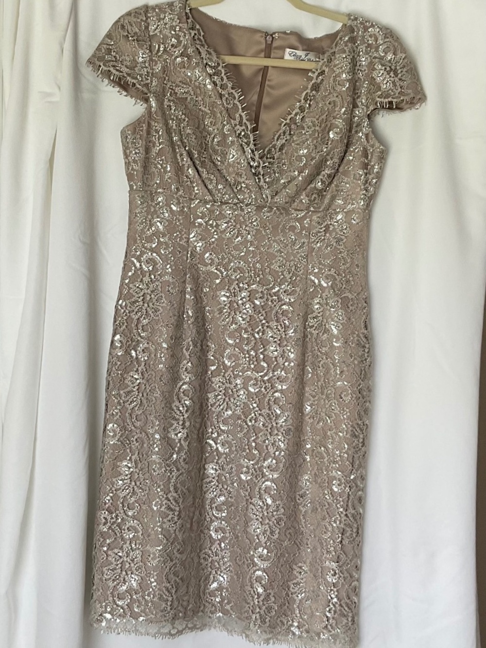 Eliza J Size 6 Metalic Lace Cocktail Dress